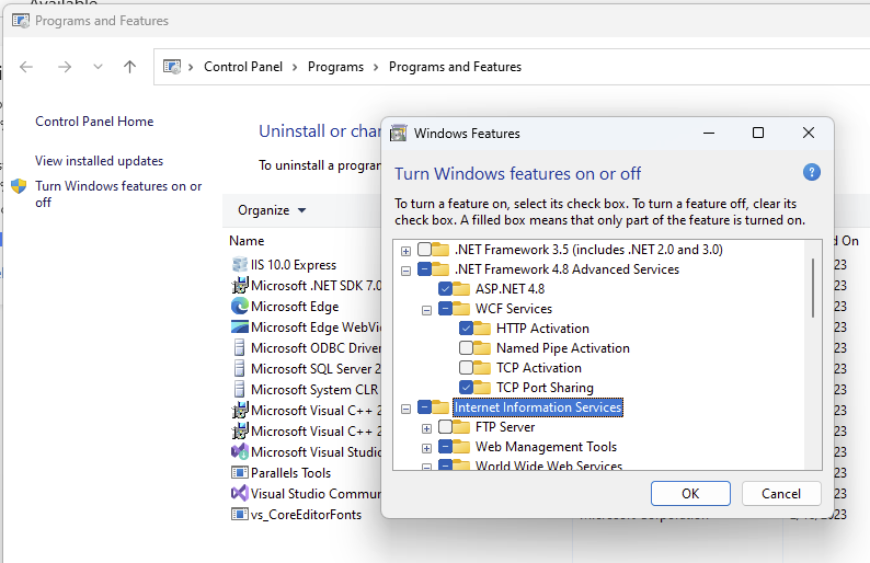 Installing the IIS on Windows 11 Home Virtual Machine